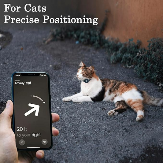 Luxury Leather Cat Collar with Hidden AirTag Holder