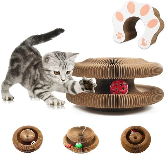 Multi-Shape Interactive Toy