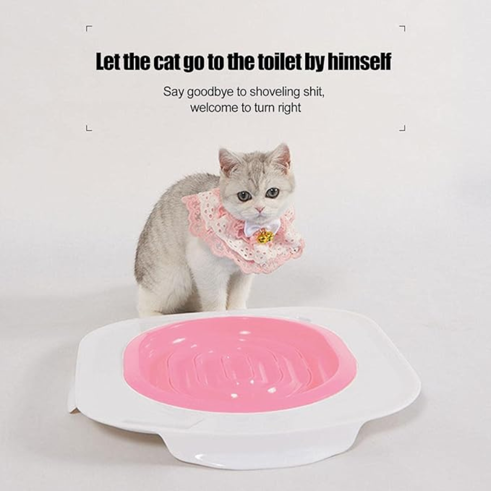Cat Toilet Training Kit – Ditch the Litter Box