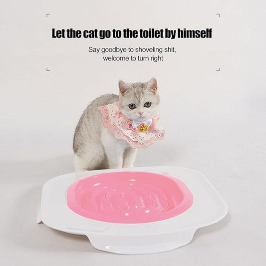 Cat Toilet Training Kit – Ditch the Litter Box