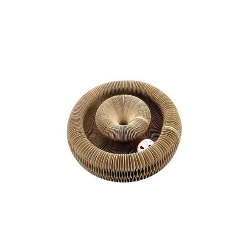 Multi-Shape Interactive Toy