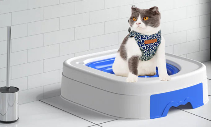 Cat Toilet Training Kit – Ditch the Litter Box